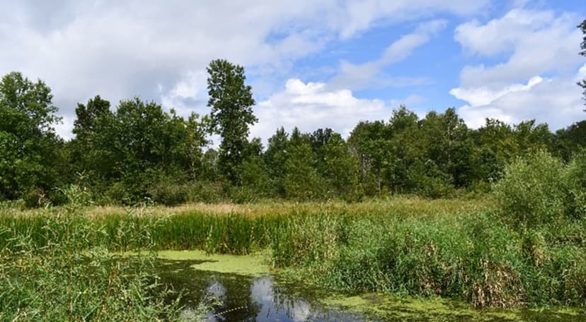 Lake Monitoring
