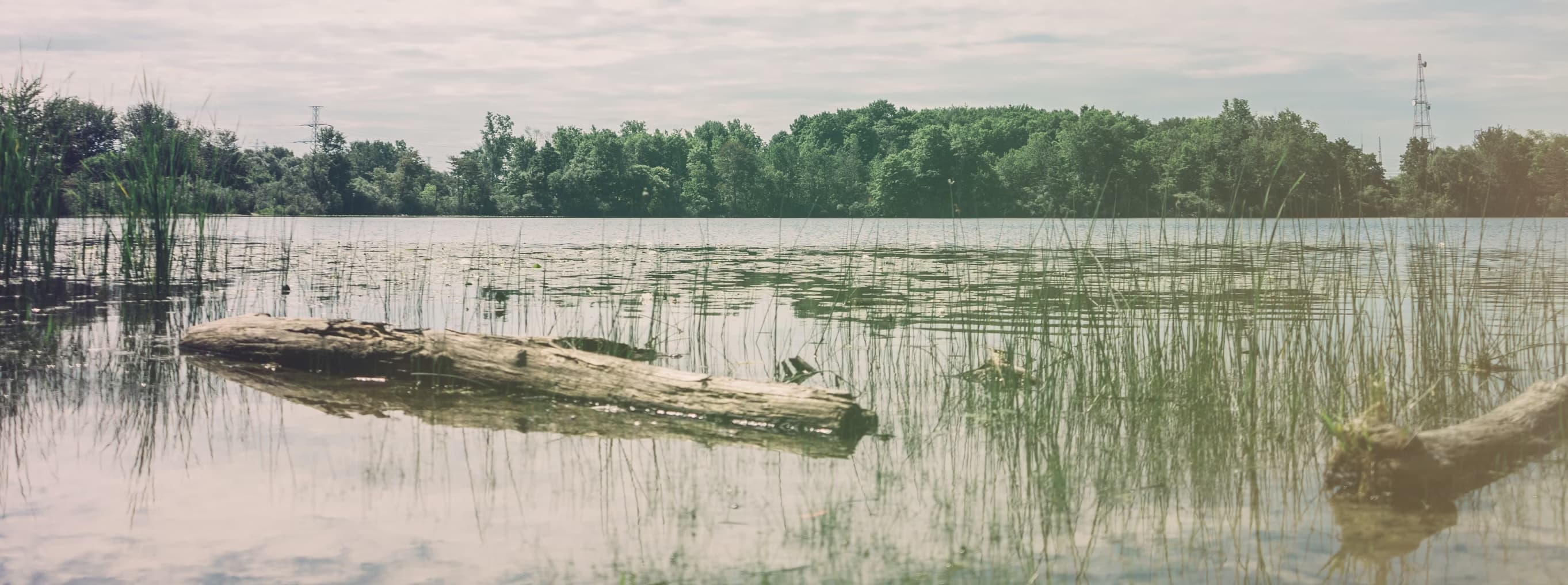 Potato Lake DNR Resources